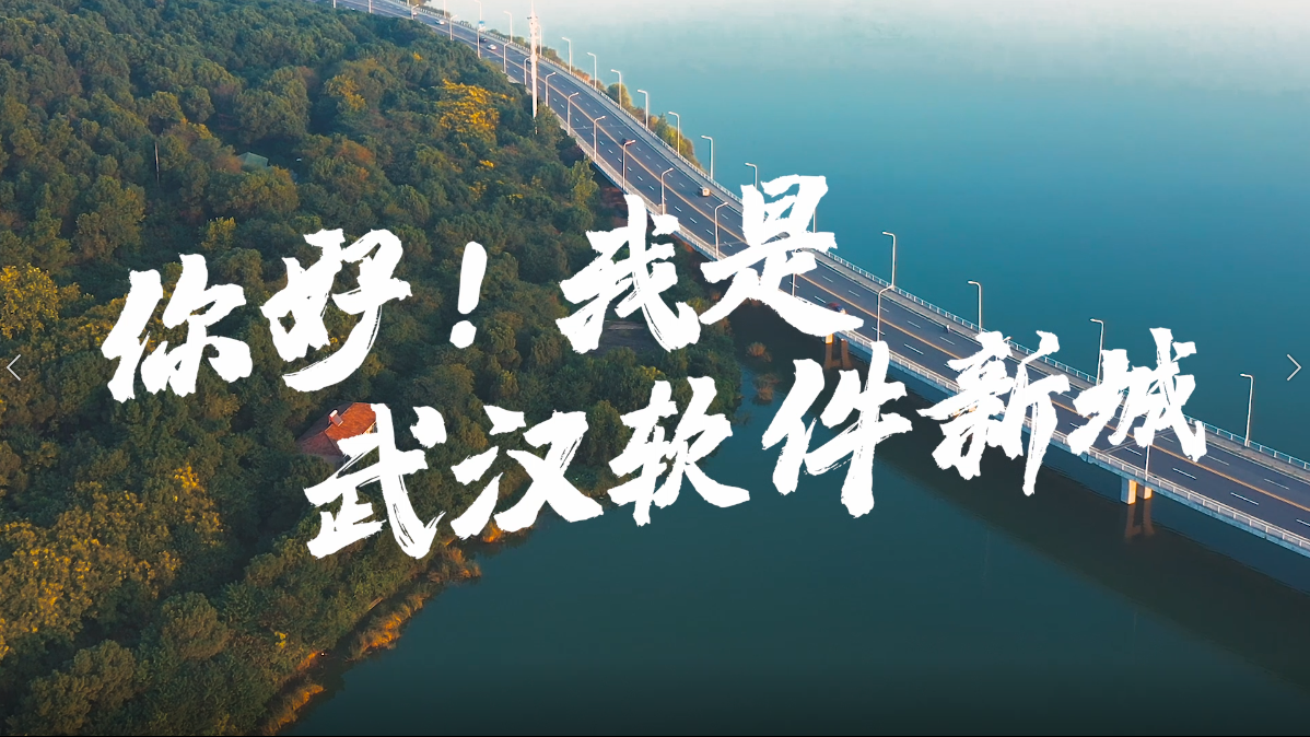 武汉软件新城视频策划